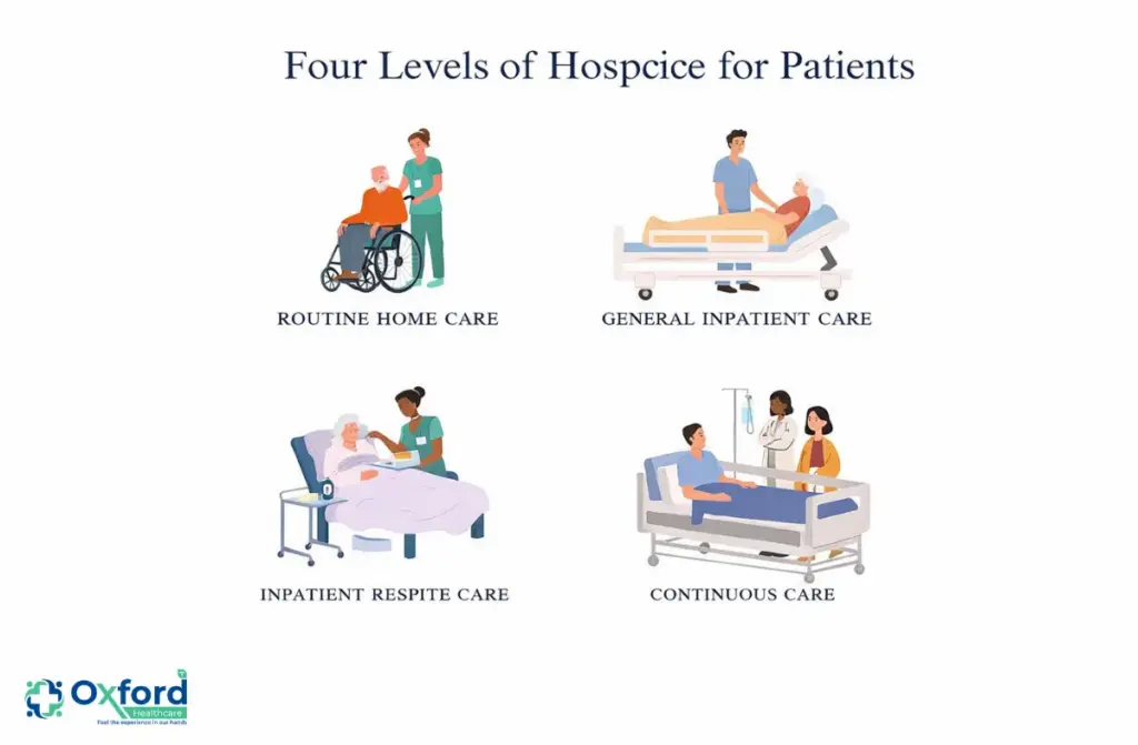 What Is Hospice Care